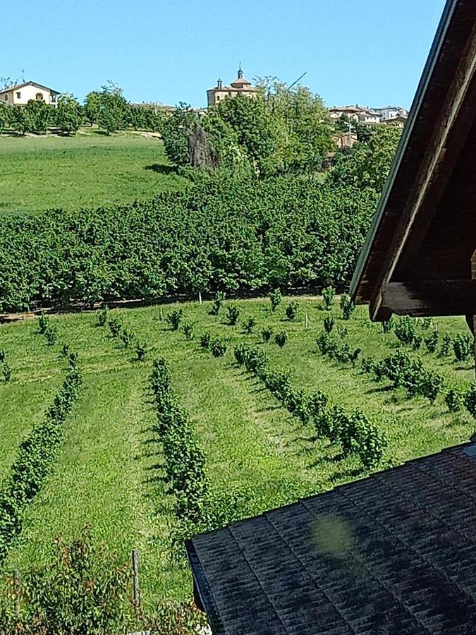 Vite Dipinte 1 Bilocale In Langa Apartment Новело Екстериор снимка